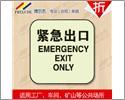 博爾杰 緊急出口指示牌 自發(fā)光指示牌 消防安全標識-手機安防